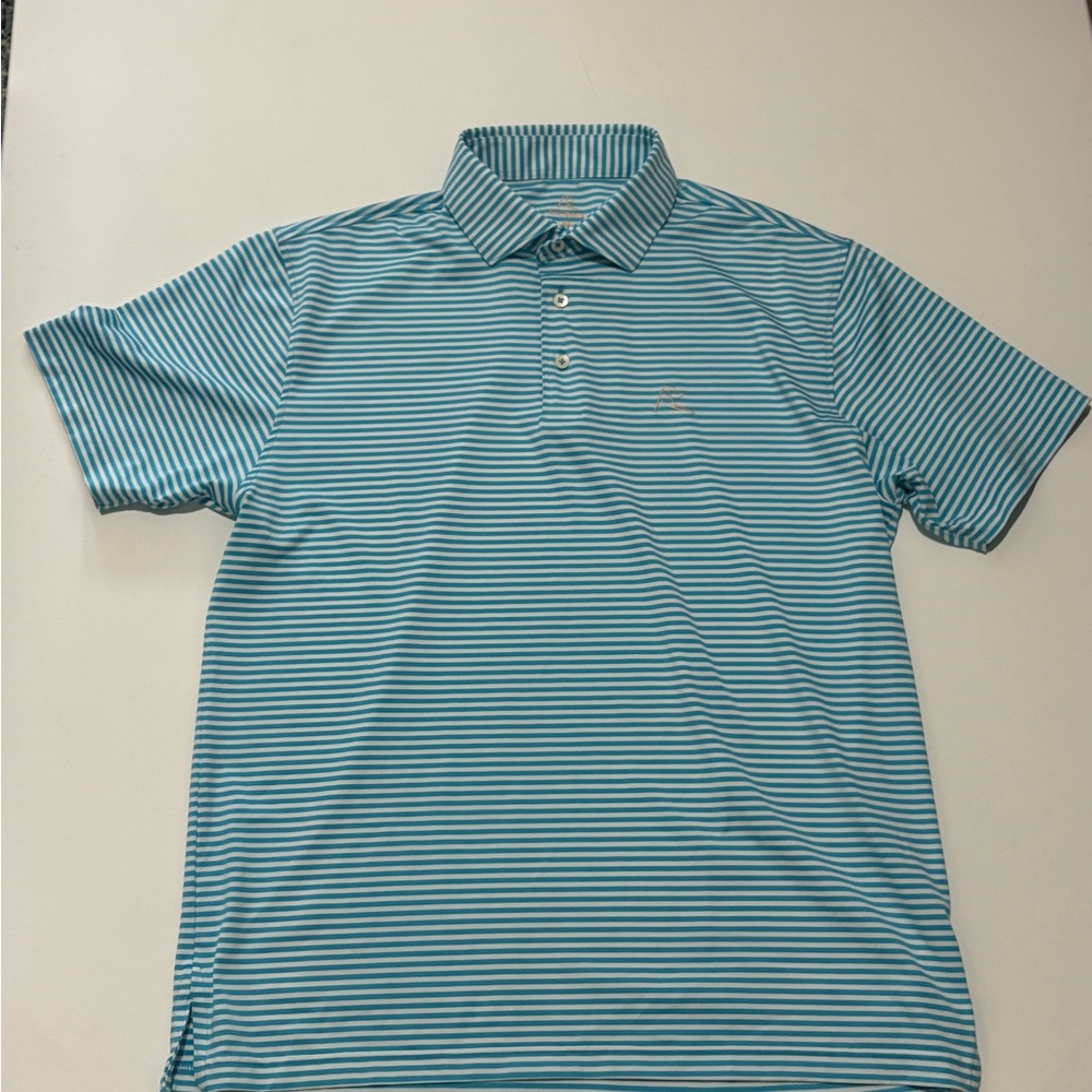 Rhoback Men's Aqua Striped Polo Shirt